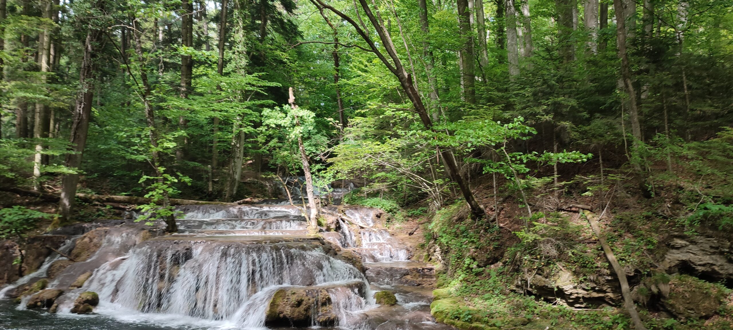 Kanjon reke Nere i Beušnice